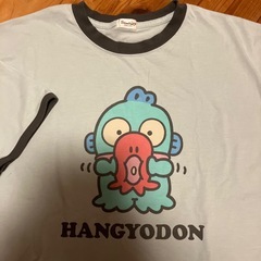 ハンギョドンTシャツの画像