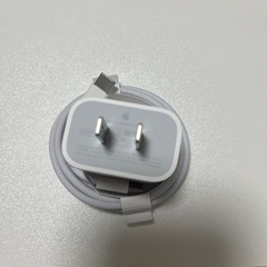 新品　iPad付属品　純正充電器　Appleの画像