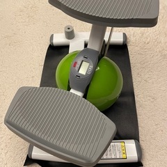 オアシス ステッパーの画像