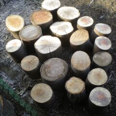 ■薪割り台、花置台等に！1119　リピーター様に大好評！の画像