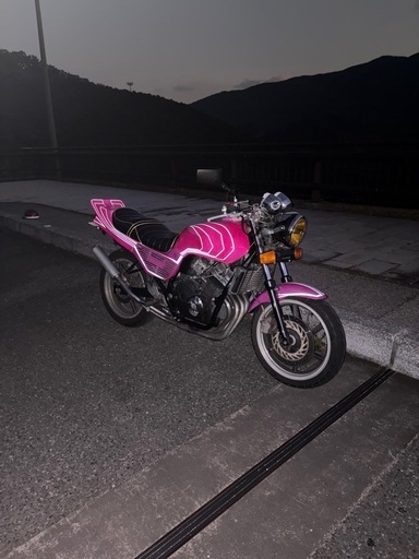 全反射‼️ ジェイド250