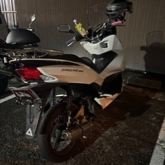 pcx56 150の画像