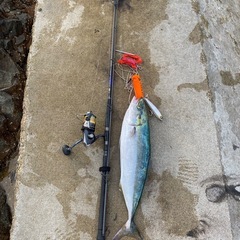 釣りしましょう！