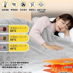 【新品未開封】電気毛布 電気ブランケット 3段階温度調節　4000円の画像