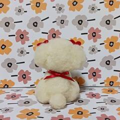 ハートの耳飾りの似合うかわいいマルチーズ　　ケーキ付き　羊毛フェルトの画像