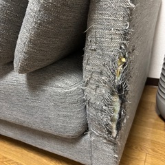 ニトリ　ソファの画像