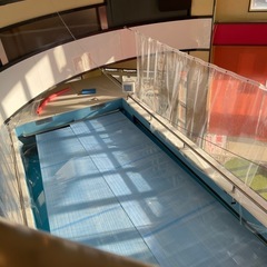 【選手・育成向け】流水プールでのマンツーマン水泳レッスン60分14,000円の画像