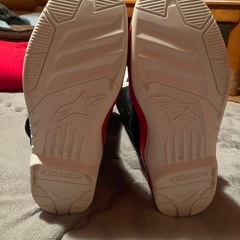 アルパインスター　テック3の画像