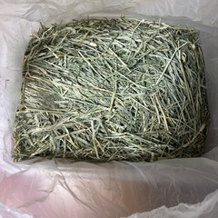 チモシー 一番刈り ダブルプレス 5キロ近く残量ありの画像