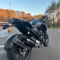 美車　ヤマハ　YAMAHA FZ25　の画像