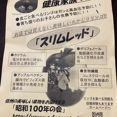 お店では絶対に買えない　丸かじりリンゴ「スリムレッド」 全国発送たまわりますの画像