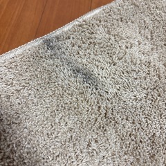 カーペット ラグ ベージュ 200cm×240cm  の画像