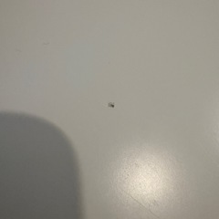 キラリオ ダイニングテーブル マロン Marron 北欧インテリア の画像