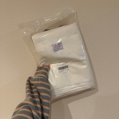 【新品未開封】背景布(クリップ付き)の画像