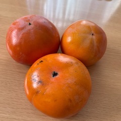 家庭用甘柿の画像