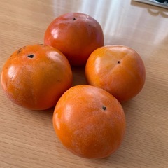 家庭用甘柿の画像