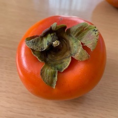 家庭用甘柿の画像