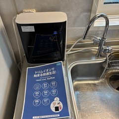 Trim ion Refineの画像