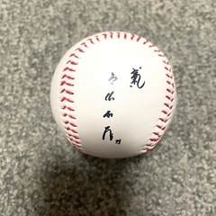中日ドラゴンズ応援グッズ(①サポーターズユニフォーム サイズF②カンフーバット③プリントサインボール)の画像