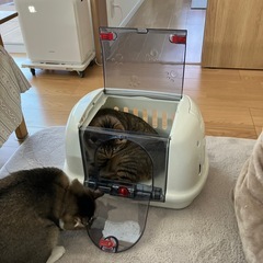 猫　ゲージ　ペットキャリーの画像