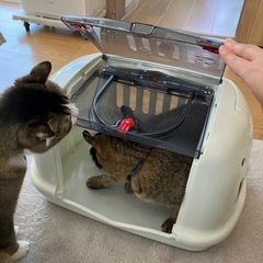 猫　ゲージ　ペットキャリーの画像