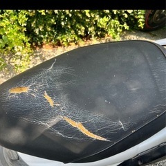 自賠責R11年4月Live DioZX後期シャッターキー★ゼックス
の画像