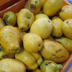 【商談中】かりん　大量の画像