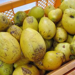 【商談中】かりん　大量の画像