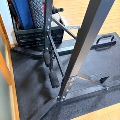 Total Fitness　懸垂マシンの画像