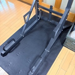 Total Fitness　懸垂マシンの画像