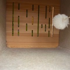 キャットハウスの画像