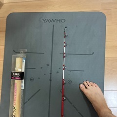 沖釣り用の竿の画像