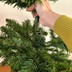 クリスマスツリーの画像