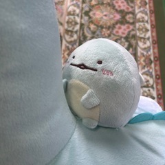 すみっコぐらしとかげとお母さんの画像