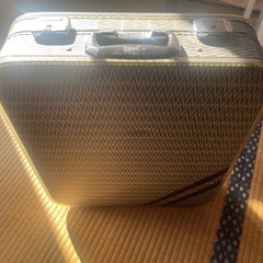 収納バックの画像