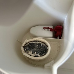 ニトリ　加湿器の画像