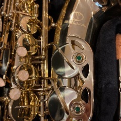 ほぼ未使用　SELVA （セルバ） アルトサックス SAS-100 ケース付きの画像