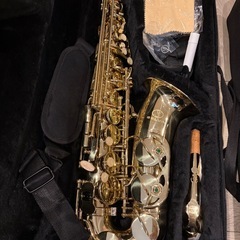 ほぼ未使用　SELVA （セルバ） アルトサックス SAS-100 ケース付きの画像