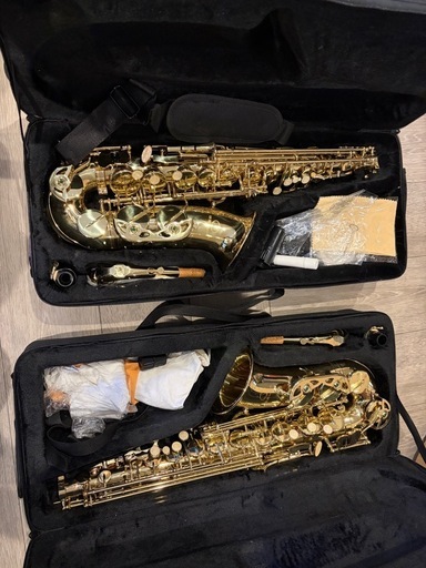 ほぼ未使用　SELVA （セルバ） アルトサックス SAS-100 ケース付き