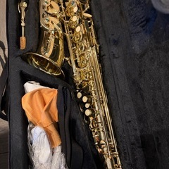 ほぼ未使用　SELVA （セルバ） アルトサックス SAS-100 ケース付きの画像