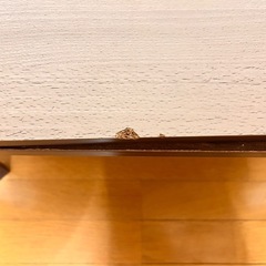 【交渉中】こたつの画像