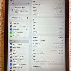 iPad 第10世代10.9インチ A2757  Wi-Fi-cell ６４GB バッテリー９９.５％　SIMフリーの画像