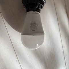 ペンダントソケット2つ(LED1つ付き)の画像