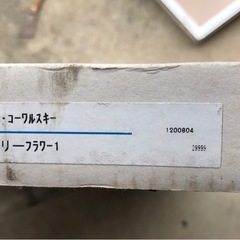 フレーム　額の画像