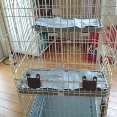 ペット用品の画像