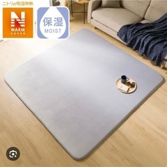 ふっくらウレタン入り 保湿＋吸湿発熱＋蓄熱ラグ（Nウォーム-SP GY n 200X240 RW06) の画像