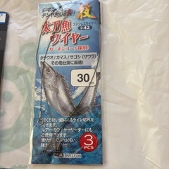 【釣り小物セット】月下美人ワーム、スパークスリム夜行ワーム、ジグヘッド、太刀魚ワイヤーの画像