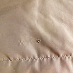 Ungridダウンの画像