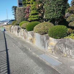 庭石あげますの画像