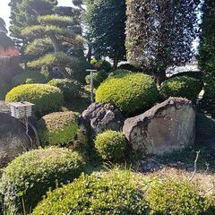 庭石あげますの画像